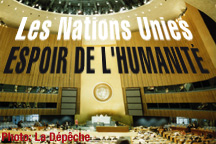 ORGANISATION DES NATIONS UNIES